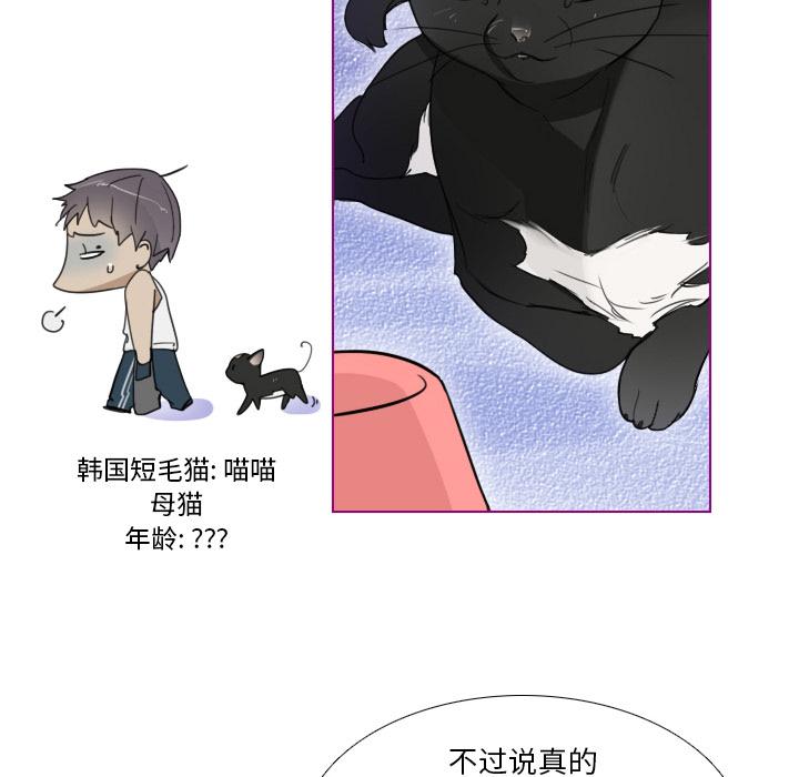 我的猫狗女友韩漫全集-第1话无删减无遮挡章节图片 