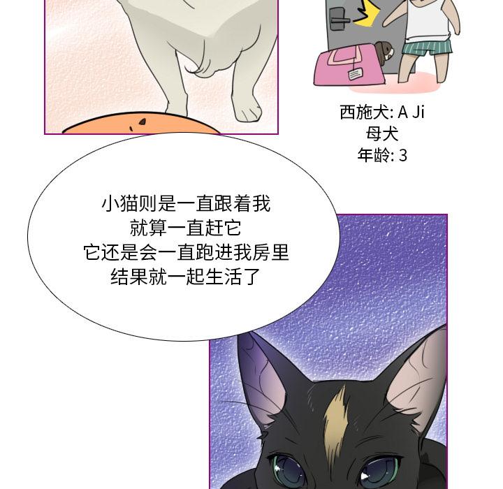 我的猫狗女友韩漫全集-第1话无删减无遮挡章节图片 