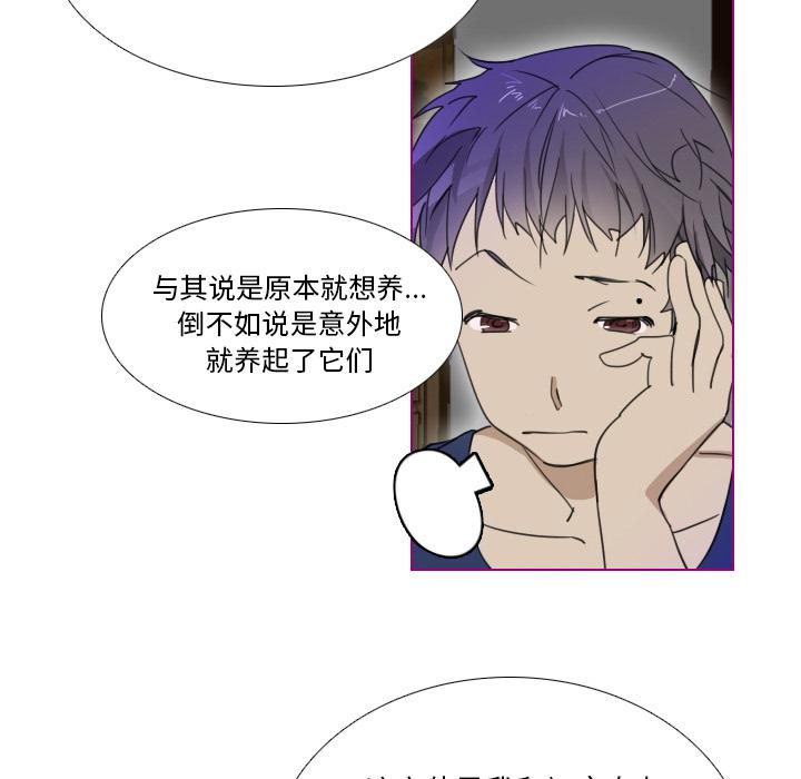我的猫狗女友韩漫全集-第1话无删减无遮挡章节图片 