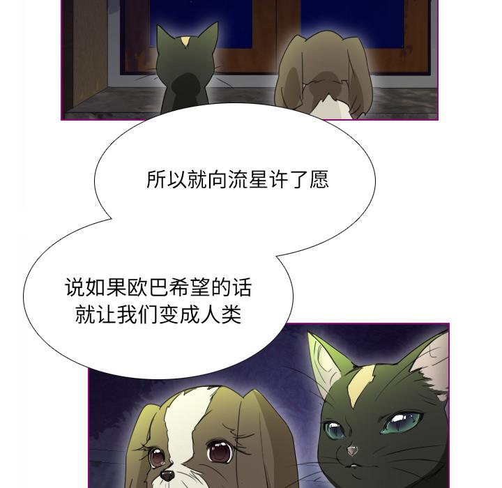 我的猫狗女友韩漫全集-第2话无删减无遮挡章节图片 