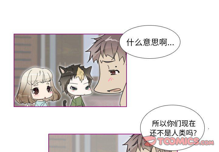 我的猫狗女友韩漫全集-第3话无删减无遮挡章节图片 