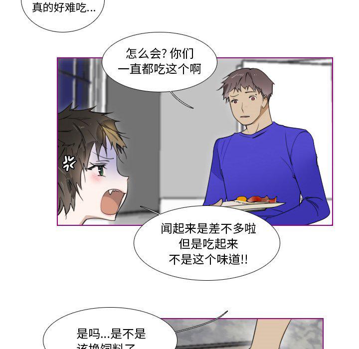 我的猫狗女友韩漫全集-第4话无删减无遮挡章节图片 