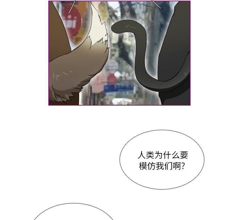 我的猫狗女友韩漫全集-第4话无删减无遮挡章节图片 