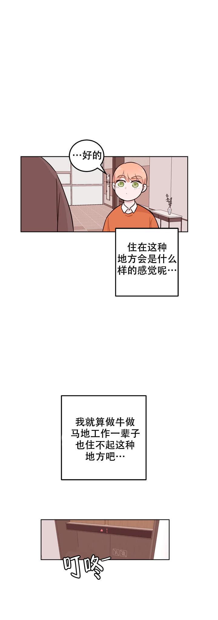 海贼王漫画h-第9话全彩韩漫标签