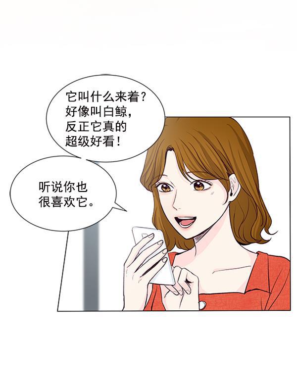 所以和黑粉结婚了韩漫全集-第37话无删减无遮挡章节图片 