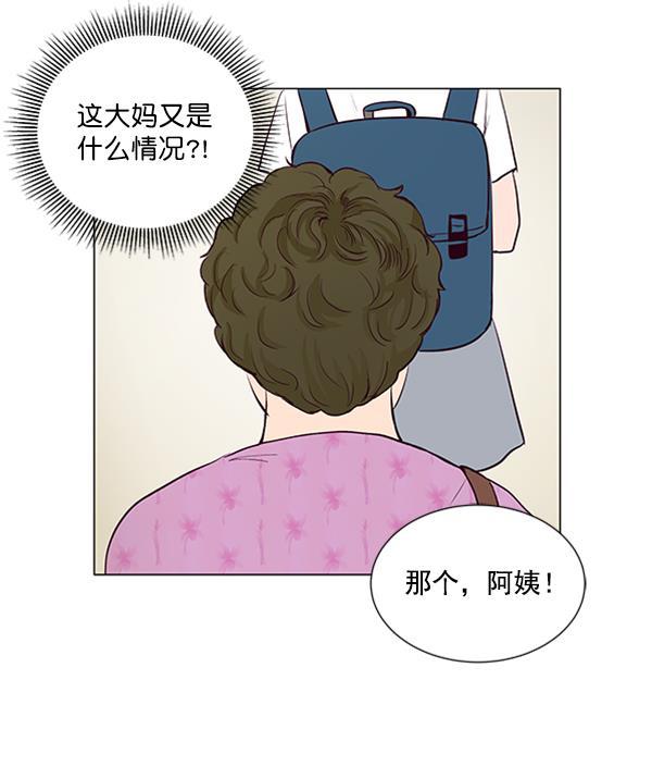 所以和黑粉结婚了韩漫全集-第33话无删减无遮挡章节图片 