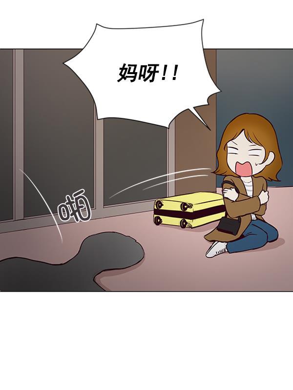 所以和黑粉结婚了韩漫全集-第16话无删减无遮挡章节图片 
