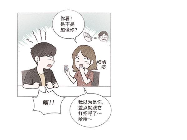 所以和黑粉结婚了韩漫全集-第49话无删减无遮挡章节图片 