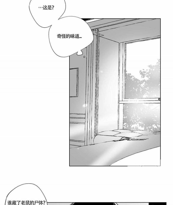 武神主宰漫画韩漫全集-3_3话无删减无遮挡章节图片 