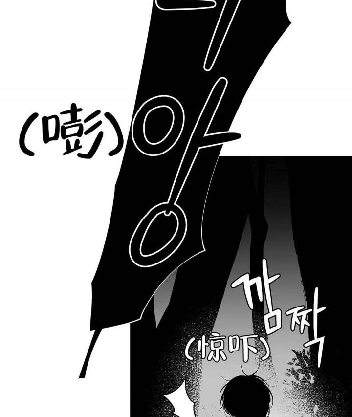 武神主宰漫画韩漫全集-13_13话无删减无遮挡章节图片 