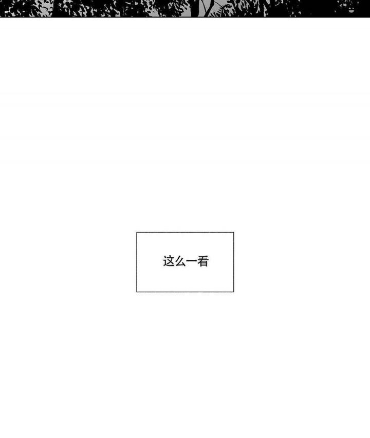 武神主宰漫画韩漫全集-13_13话无删减无遮挡章节图片 