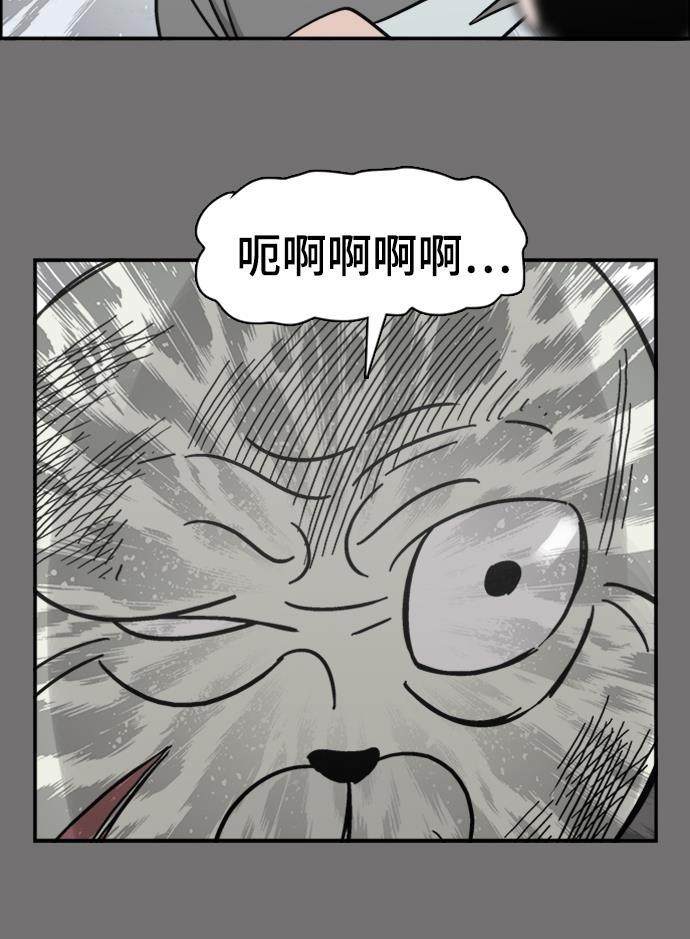 娜美漫画韩漫全集-第44话无删减无遮挡章节图片 