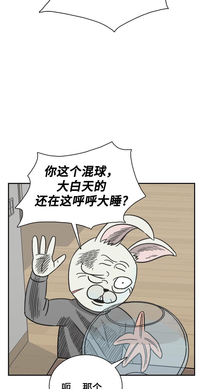 娜美漫画韩漫全集-第44话无删减无遮挡章节图片 