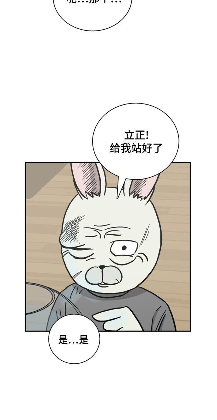 娜美漫画韩漫全集-第44话无删减无遮挡章节图片 