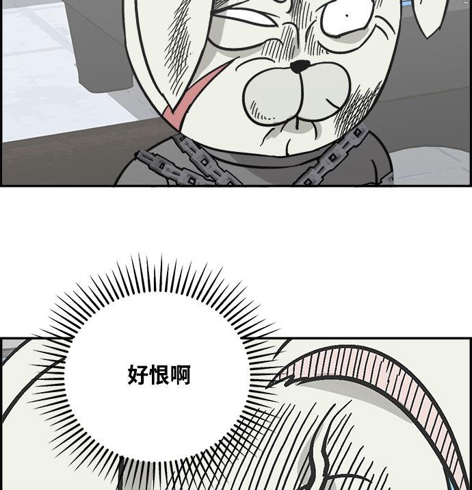 娜美漫画韩漫全集-第37话无删减无遮挡章节图片 
