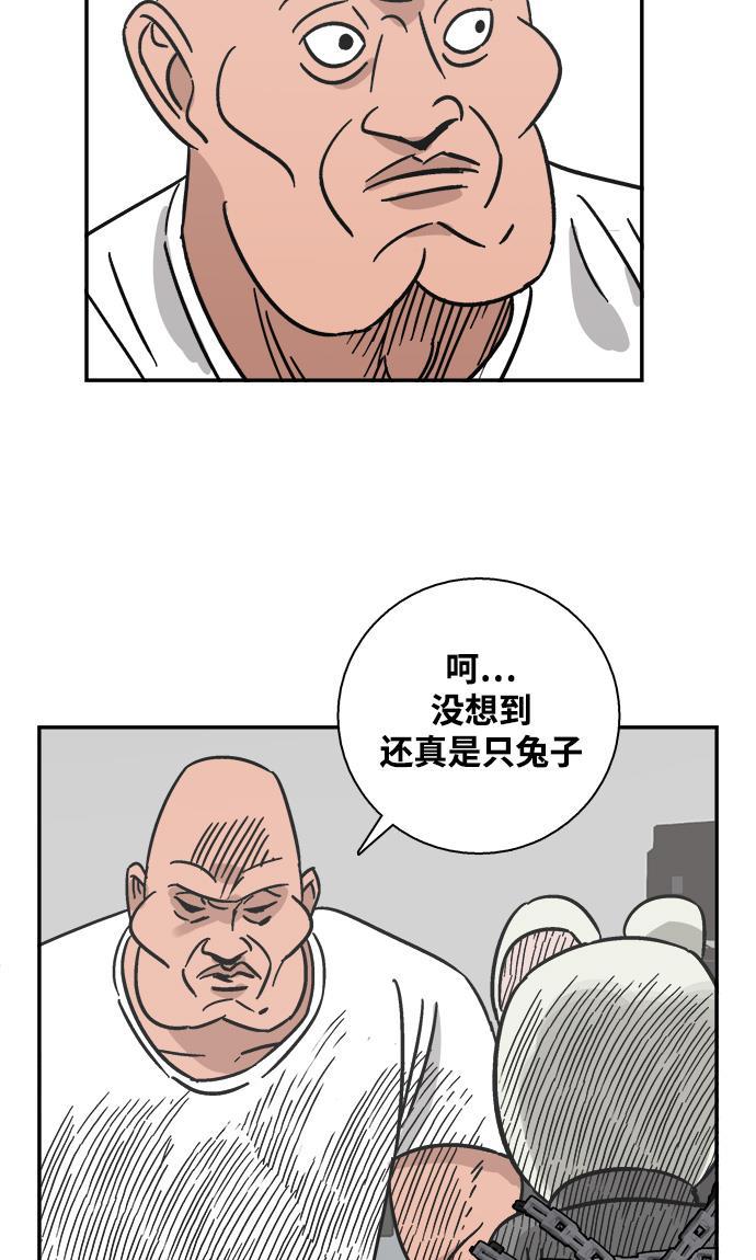 娜美漫画韩漫全集-第37话无删减无遮挡章节图片 