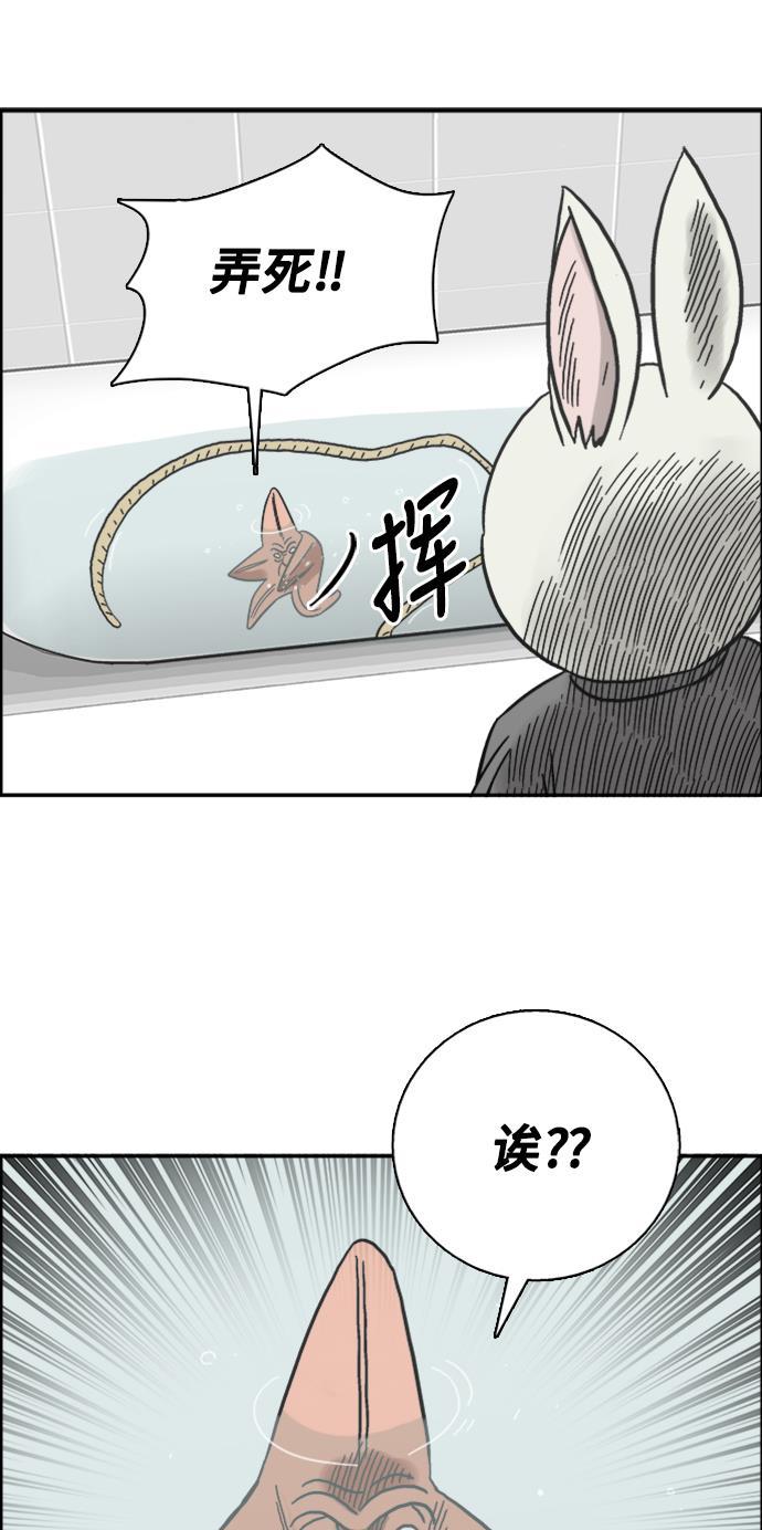 娜美漫画韩漫全集-第40话无删减无遮挡章节图片 