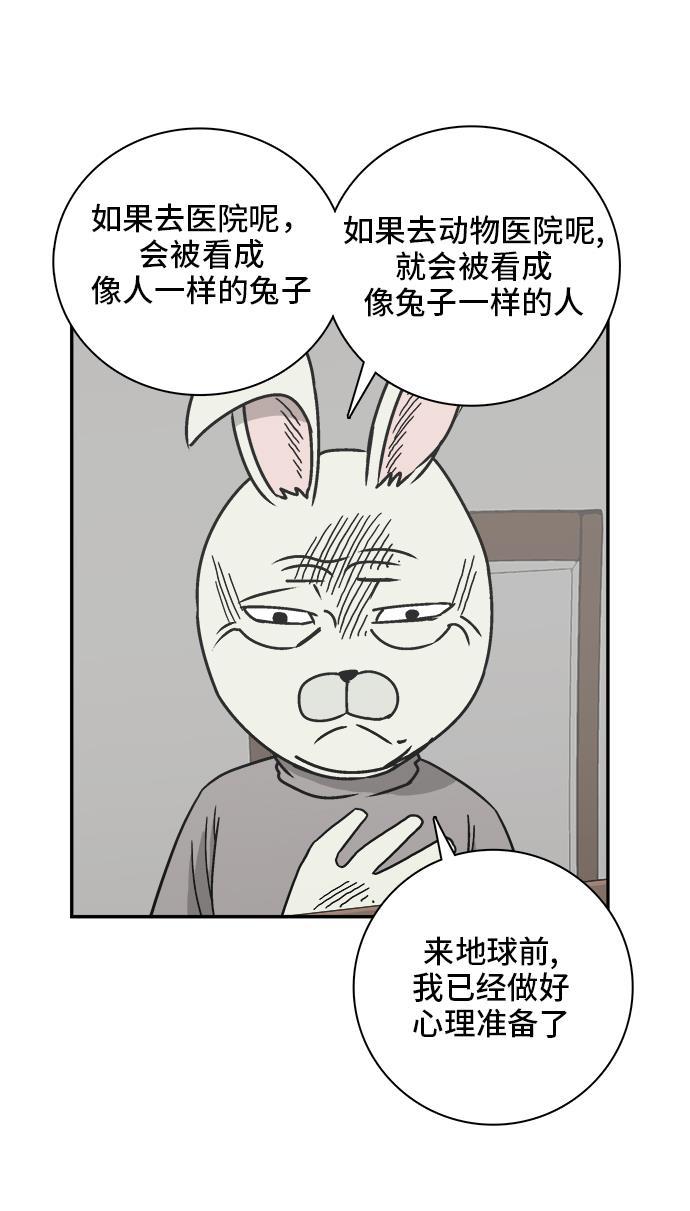 娜美漫画韩漫全集-第51话无删减无遮挡章节图片 