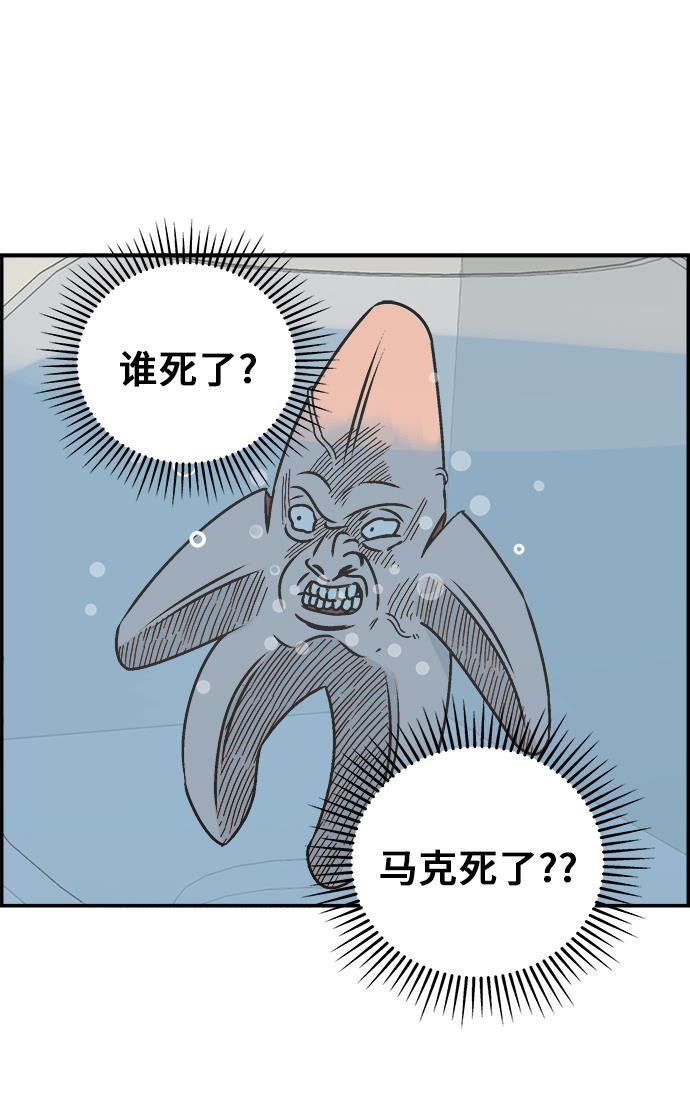 娜美漫画韩漫全集-第51话无删减无遮挡章节图片 
