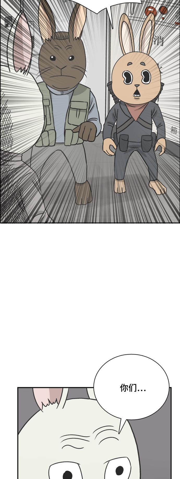 娜美漫画韩漫全集-第54话无删减无遮挡章节图片 