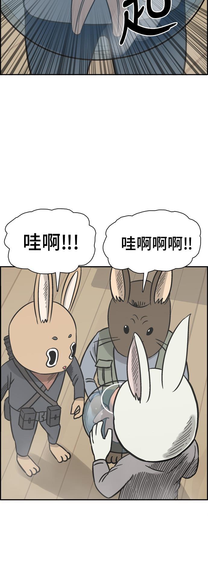 娜美漫画韩漫全集-第55话无删减无遮挡章节图片 