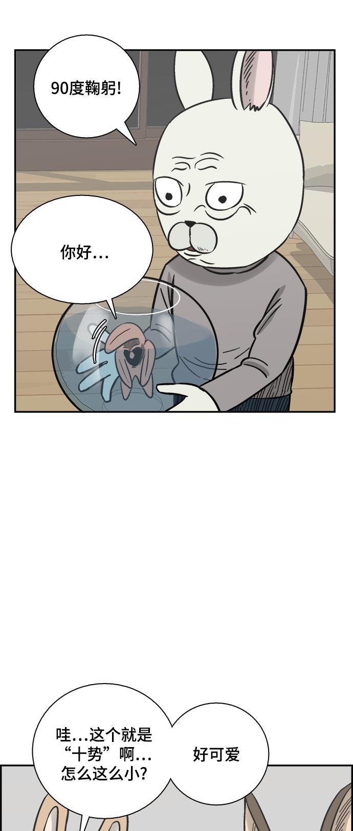 娜美漫画韩漫全集-第55话无删减无遮挡章节图片 