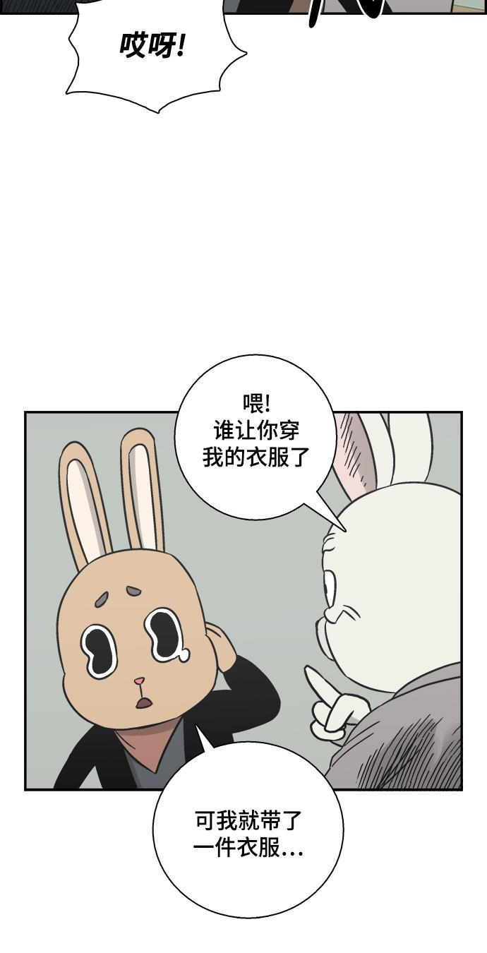 娜美漫画韩漫全集-第56话无删减无遮挡章节图片 