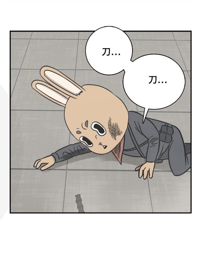 娜美漫画韩漫全集-第62话无删减无遮挡章节图片 