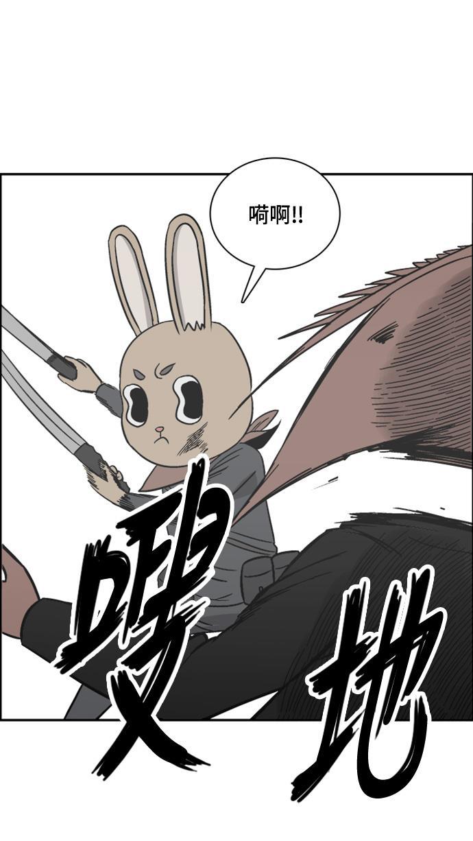 娜美漫画韩漫全集-第62话无删减无遮挡章节图片 