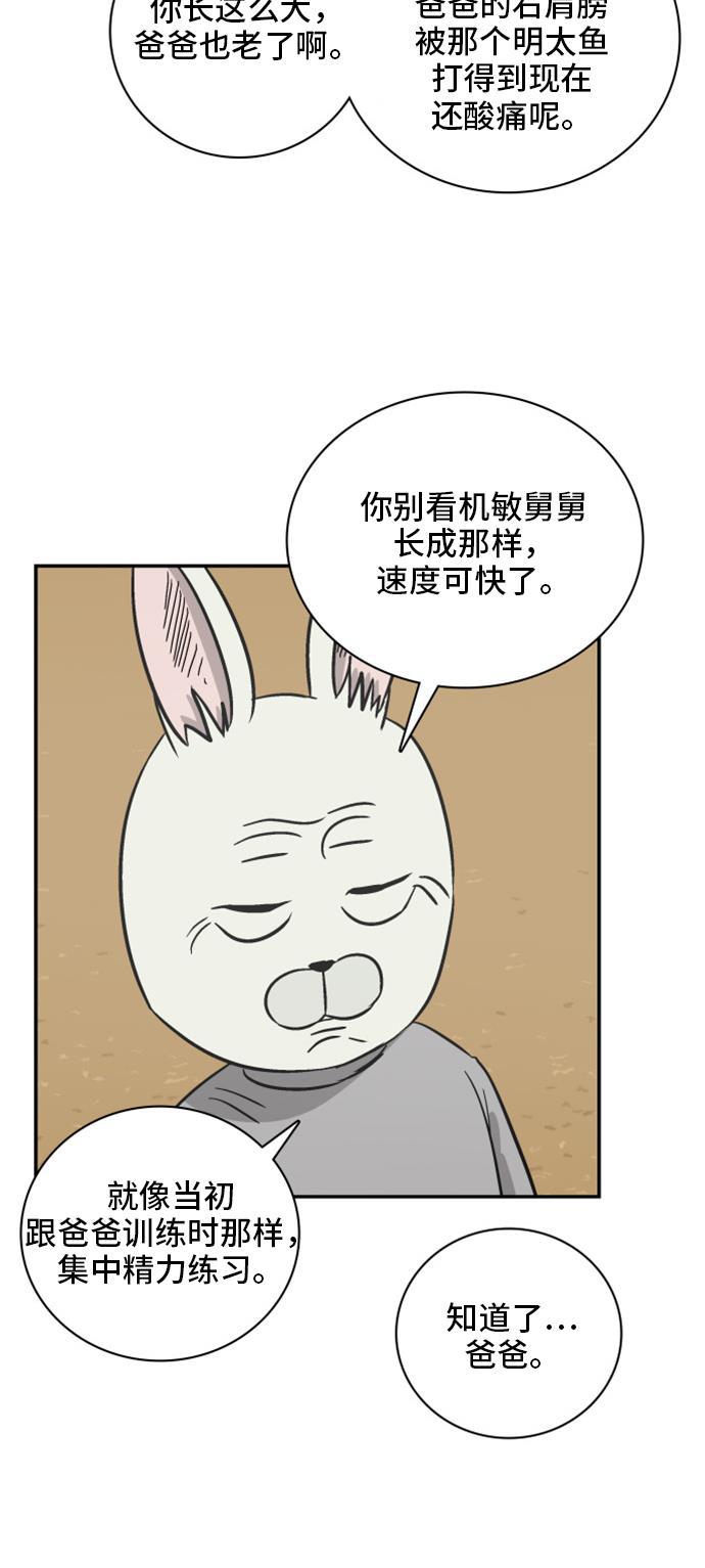 娜美漫画韩漫全集-第67话无删减无遮挡章节图片 