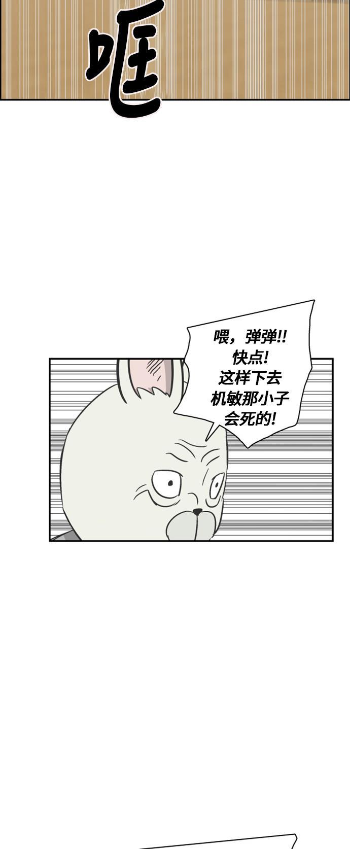 娜美漫画韩漫全集-第68话无删减无遮挡章节图片 