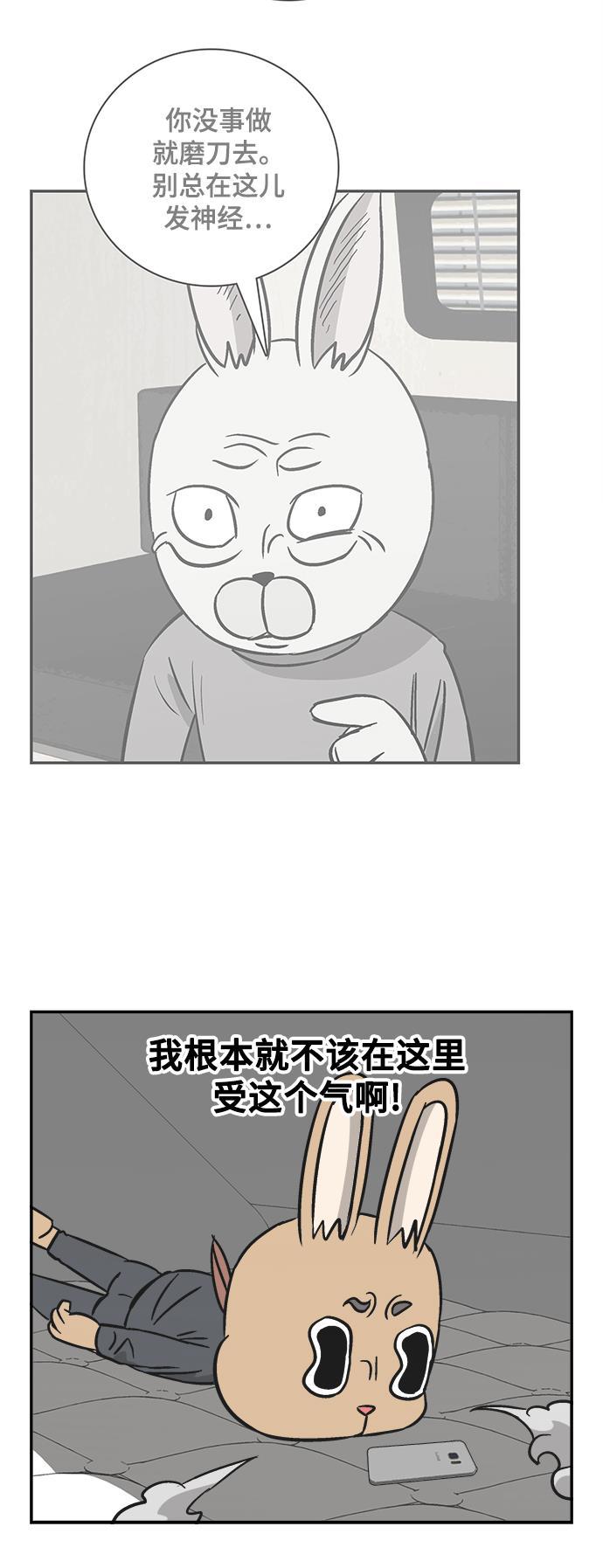 娜美漫画韩漫全集-第85话无删减无遮挡章节图片 