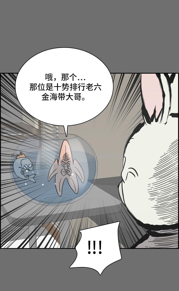 娜美漫画韩漫全集-第86话无删减无遮挡章节图片 