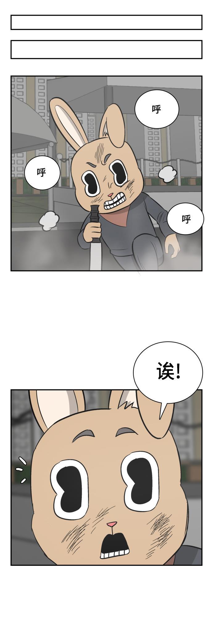 娜美漫画韩漫全集-第116话无删减无遮挡章节图片 