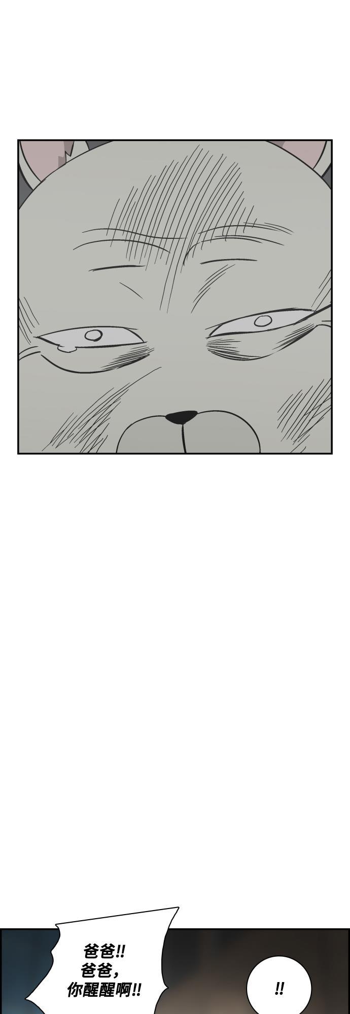 娜美漫画韩漫全集-第116话无删减无遮挡章节图片 