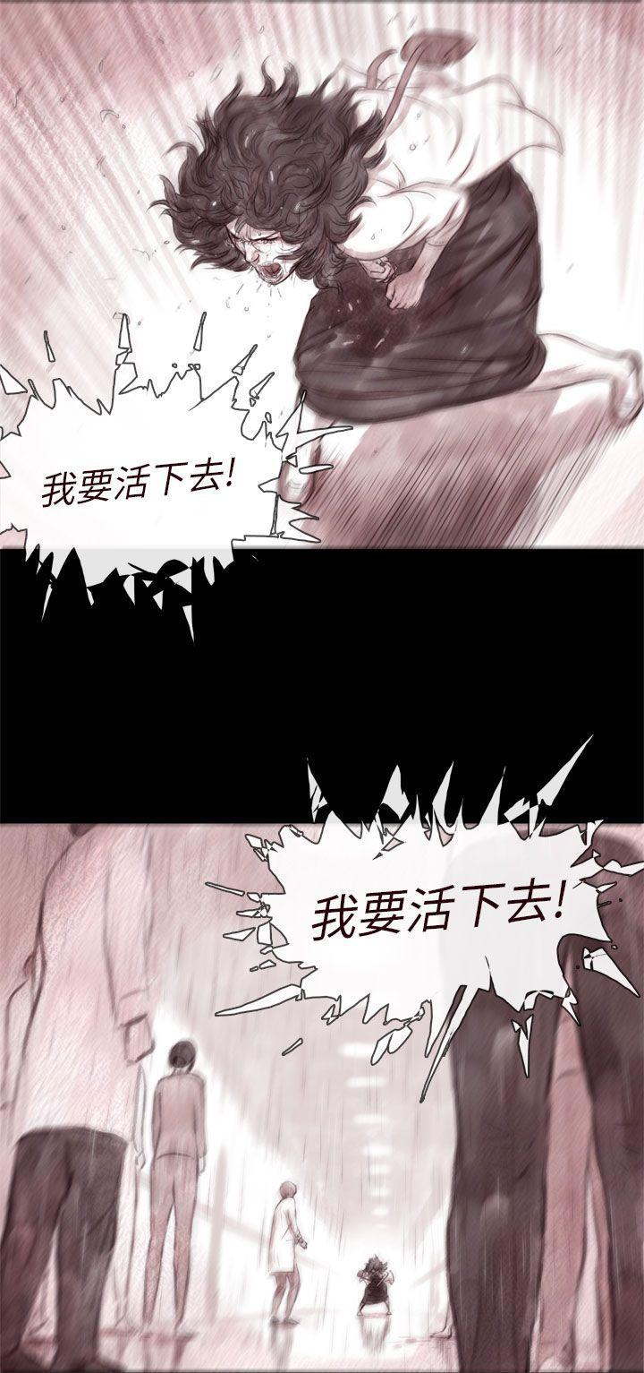 斗破苍穹漫画在线观看免费韩漫全集-最终话无删减无遮挡章节图片 