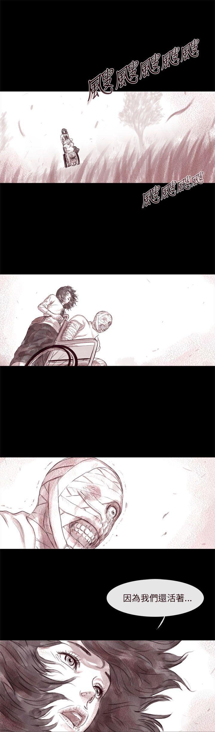 斗破苍穹漫画在线观看免费韩漫全集-最终话无删减无遮挡章节图片 