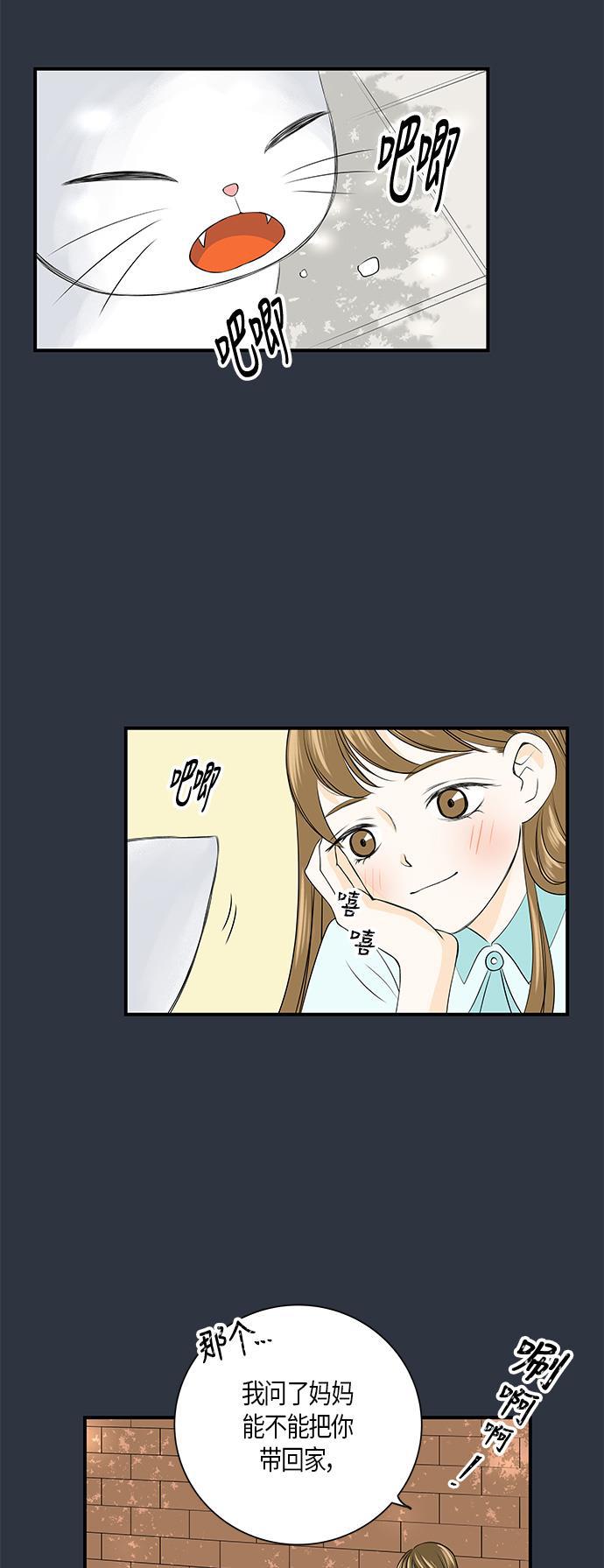 天鹅绒之吻漫画韩漫全集-第5话无删减无遮挡章节图片 