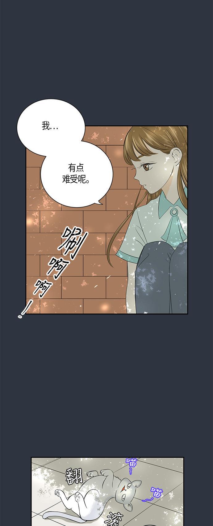 天鹅绒之吻漫画韩漫全集-第5话无删减无遮挡章节图片 