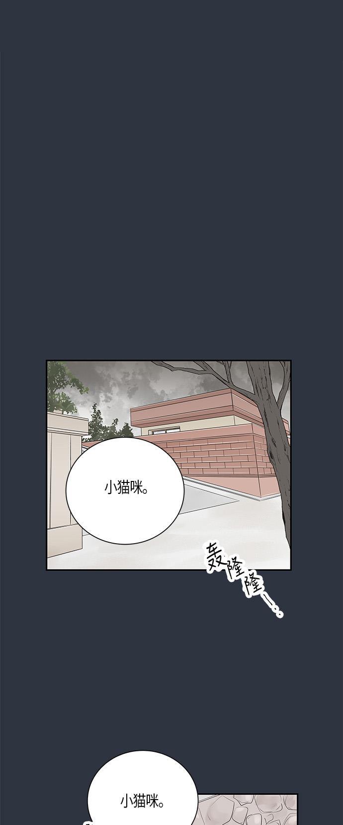天鹅绒之吻漫画韩漫全集-第5话无删减无遮挡章节图片 