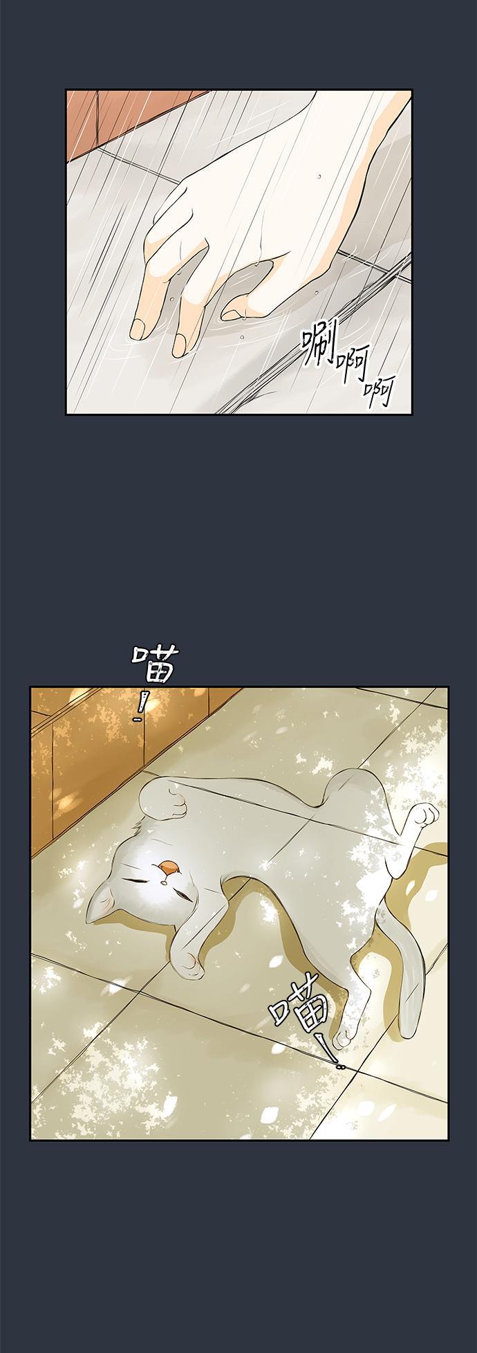 天鹅绒之吻漫画韩漫全集-第5话无删减无遮挡章节图片 