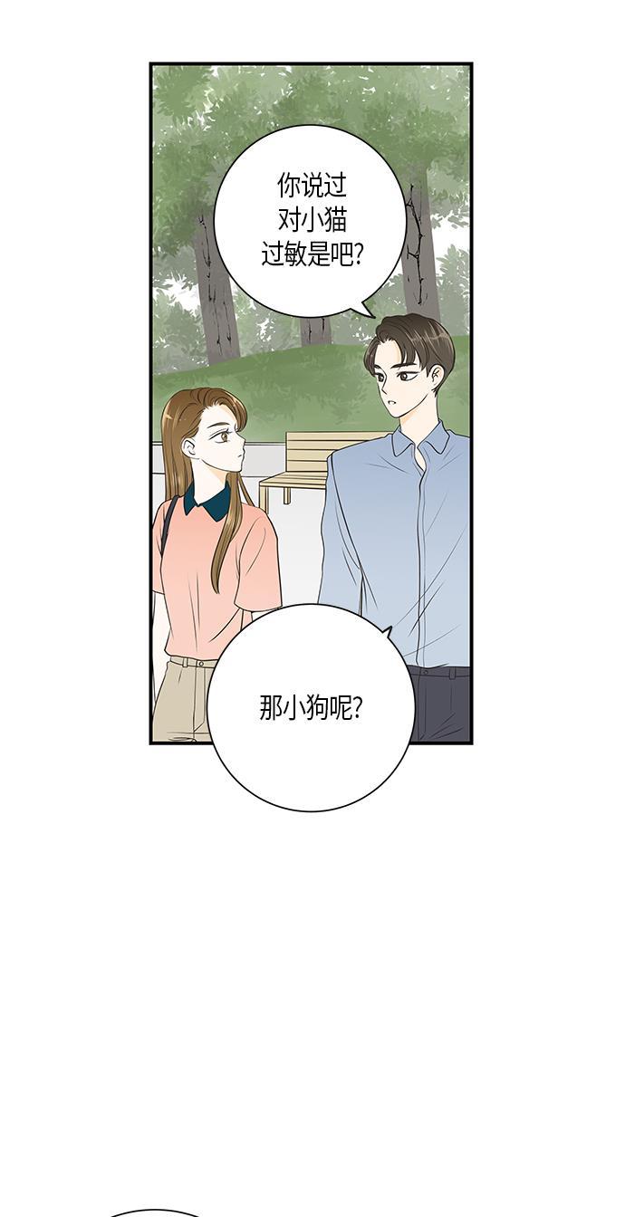 天鹅绒之吻漫画韩漫全集-第11话无删减无遮挡章节图片 
