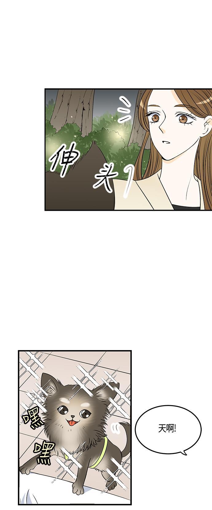 天鹅绒之吻漫画韩漫全集-第29话无删减无遮挡章节图片 