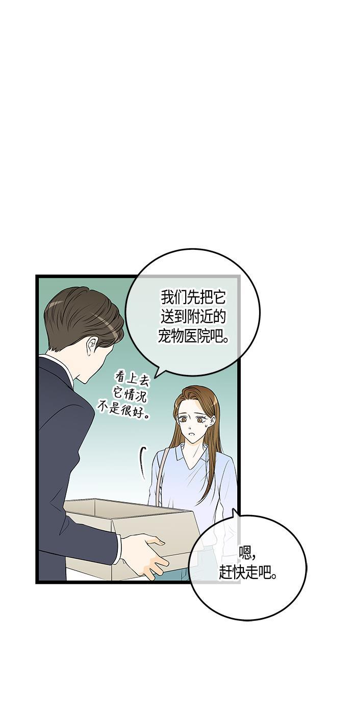 天鹅绒之吻漫画韩漫全集-第37话无删减无遮挡章节图片 