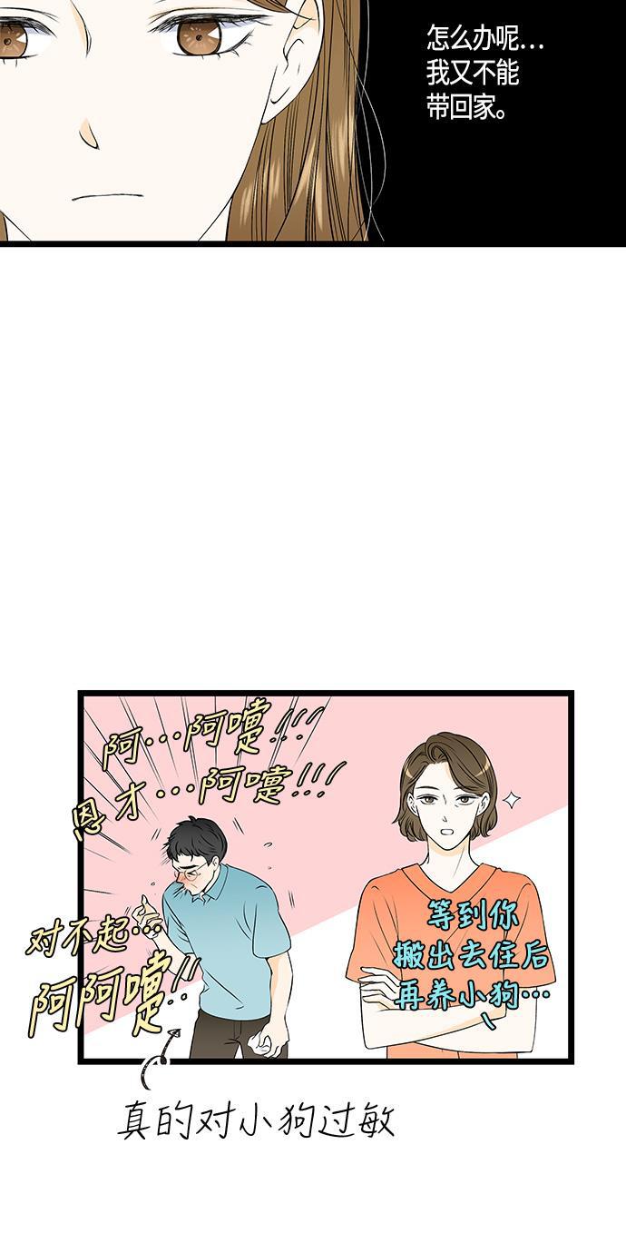 天鹅绒之吻漫画韩漫全集-第37话无删减无遮挡章节图片 