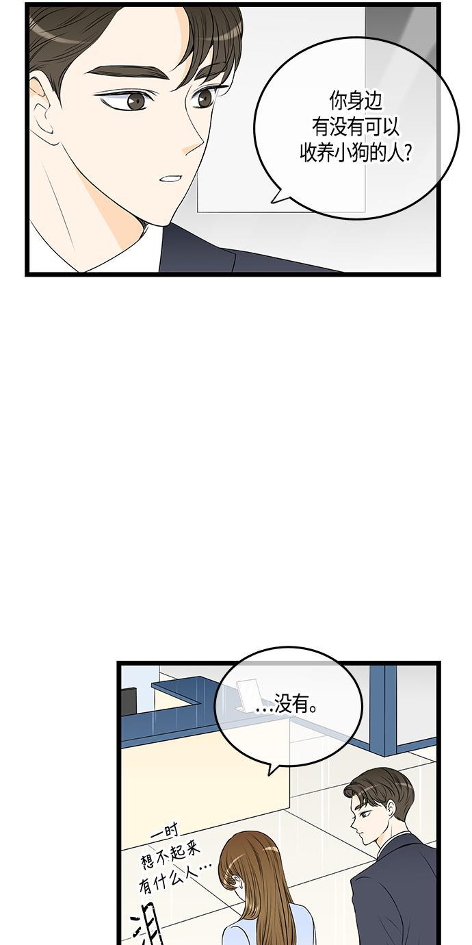 天鹅绒之吻漫画韩漫全集-第37话无删减无遮挡章节图片 