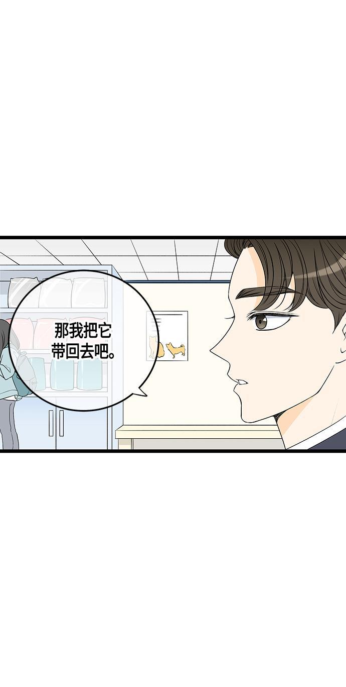 天鹅绒之吻漫画韩漫全集-第37话无删减无遮挡章节图片 