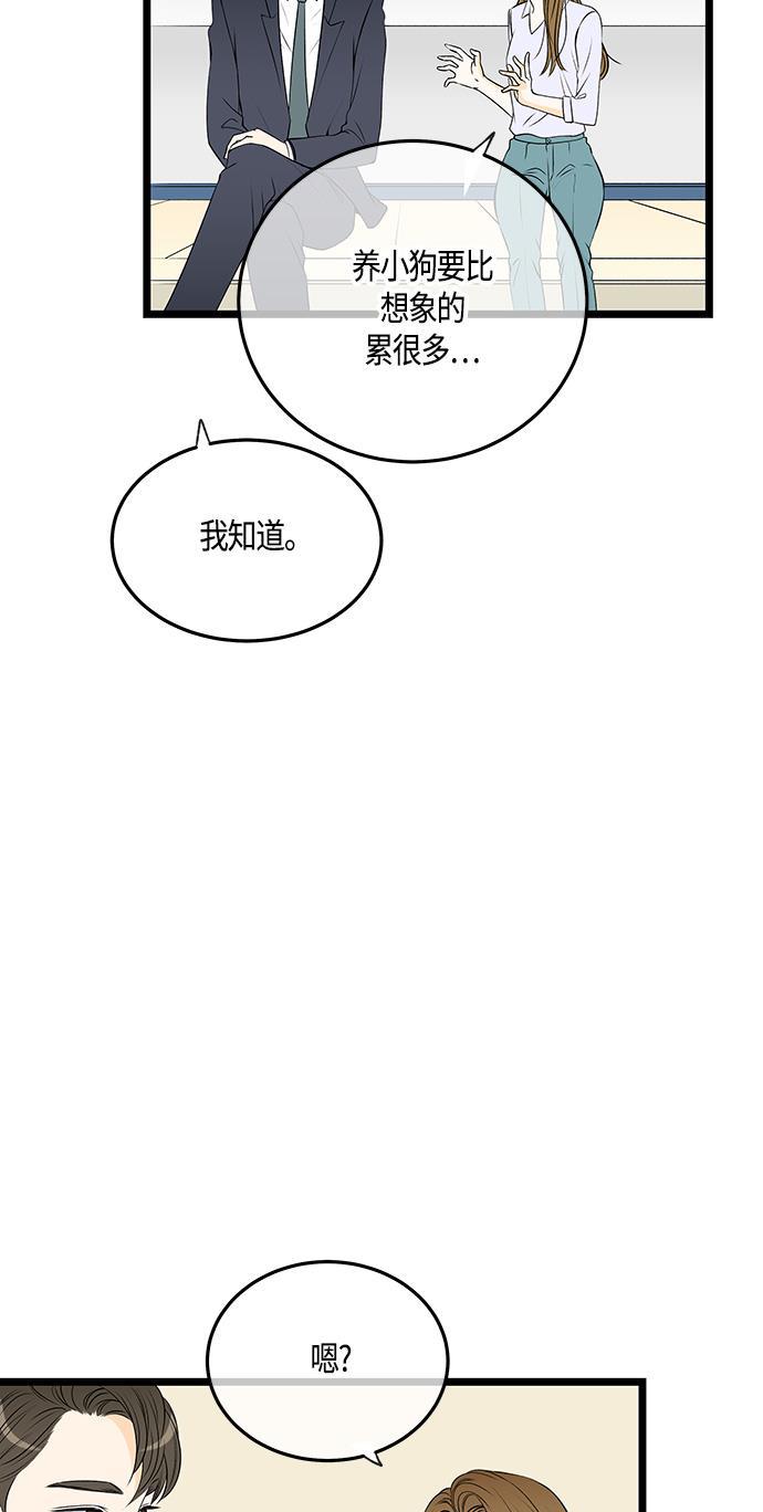 天鹅绒之吻漫画韩漫全集-第37话无删减无遮挡章节图片 