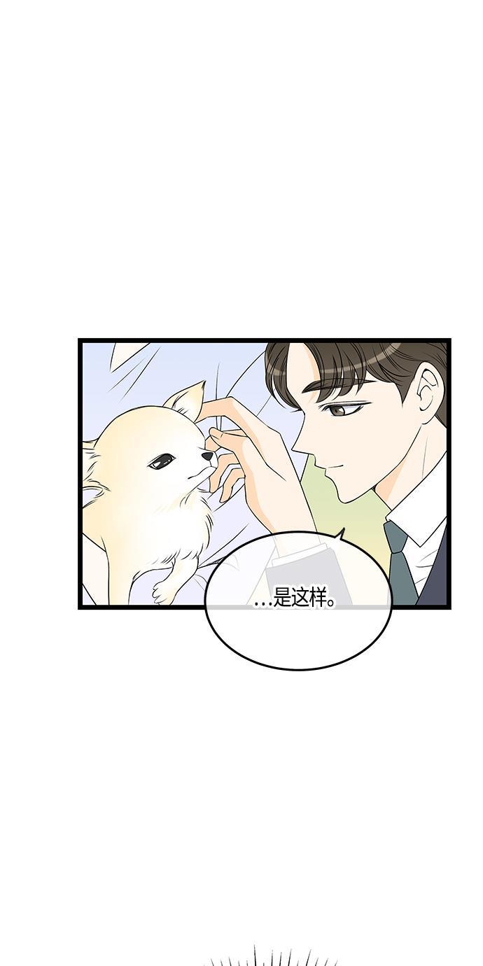 天鹅绒之吻漫画韩漫全集-第37话无删减无遮挡章节图片 