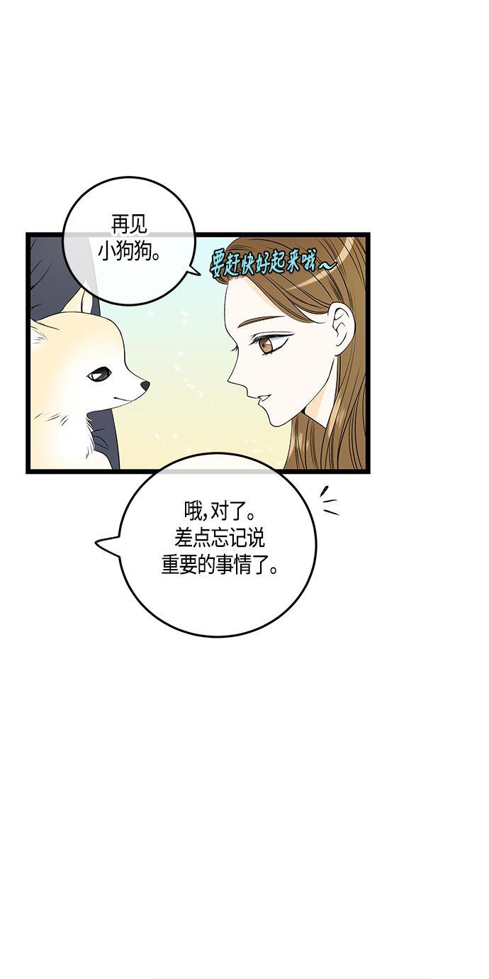 天鹅绒之吻漫画韩漫全集-第37话无删减无遮挡章节图片 